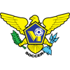 Logo of Футбольная лига Виргинских островов США 2018/2019