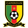 Logo of Чемпионат Камеруна 2020/2021