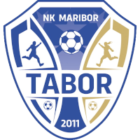 logo of ŽNK Novogradnje MB Tabor
