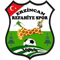 old logo of AnaGold 24 Erzincanspor