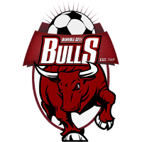 logo of Banyule City SC