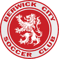 logo of Berwick City SC