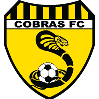 logo of Bentleigh United Cobras FC