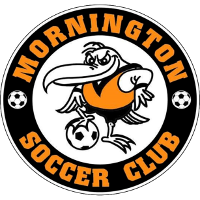 logo of Mornington SC