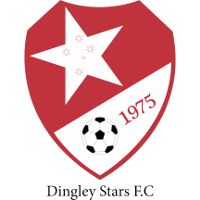 logo of Dingley Stars FC