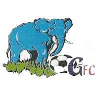 logo of Giwa FC