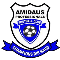 logo of Amidaus Professionals FC