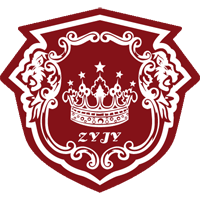 old logo of Nei Mongol Zhongyou FC