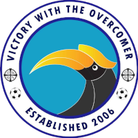 old logo of Chinland FC