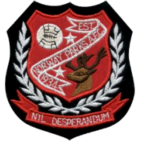 logo of Norway Parks Magic FC