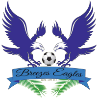 logo of Eagles FC