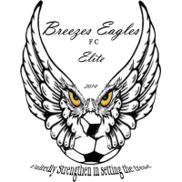 old logo of Eagles FC