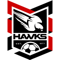 logo of Holland Park Hawks FC