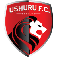 logo of Ushuru FC