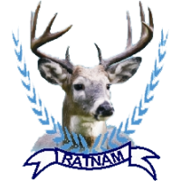 old logo of Ratnam SC