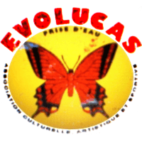 logo of Evolucas Lamentin