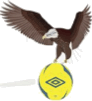 logo of Alkali Nassara Club