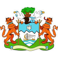 logo of Freetown City FC