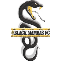 old logo of Black Mambas FC