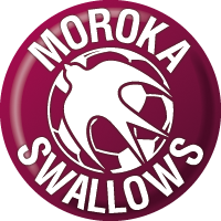 old logo of Swallows FC