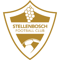 old logo of Stellenbosch FC