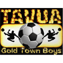 logo of Tavua SA