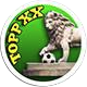 logo of Bakewell Topp XX FC