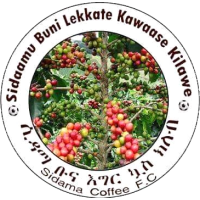 old logo of Sidama Bunna SC