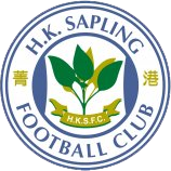 old logo of King Fung FC