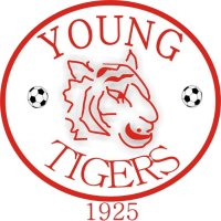 logo of Bloemfontein Young Tigers FC