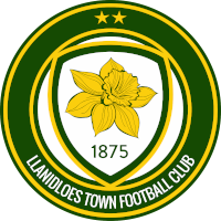 logo of Llanidloes Town FC