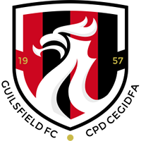 logo of Guilsfield FC