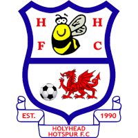 logo of Holyhead Hotspur FC