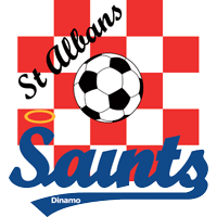 old logo of St Albans Dinamo FC