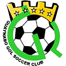 old logo of Guaynabo Gol SC