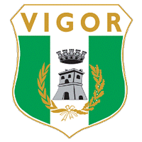 logo of Vigor Lamezia Calcio