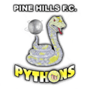 old logo of Pine Hills FC