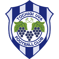old logo of Tochigi City FC