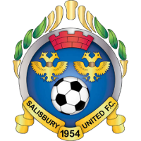 logo of Salisbury United FC