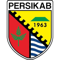 logo of Persikab Kabupaten Bandung