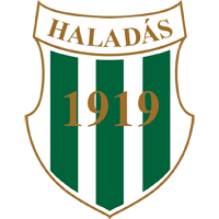 logo of Swietelsky-Haladás
