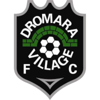 logo of Dromara Village FC