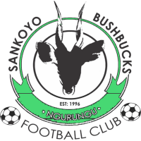 logo of Sankoyo Bush Bucks FC