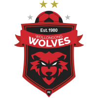 logo of Wollongong Wolves FC