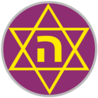 logo of Hakoah Amidar