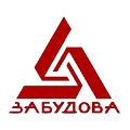 logo of FK Zabudova Chysts