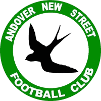 logo of Andover New Street FC
