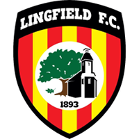 logo of Lingfield FC