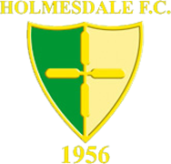 old logo of Holmesdale FC