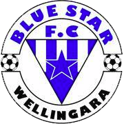 logo of Blue Star FC